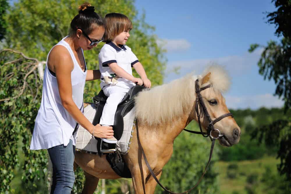 Ponyreiten auf Strawberry Acres in der Nähe von Philadelphia | www.phillyaptrentals.com