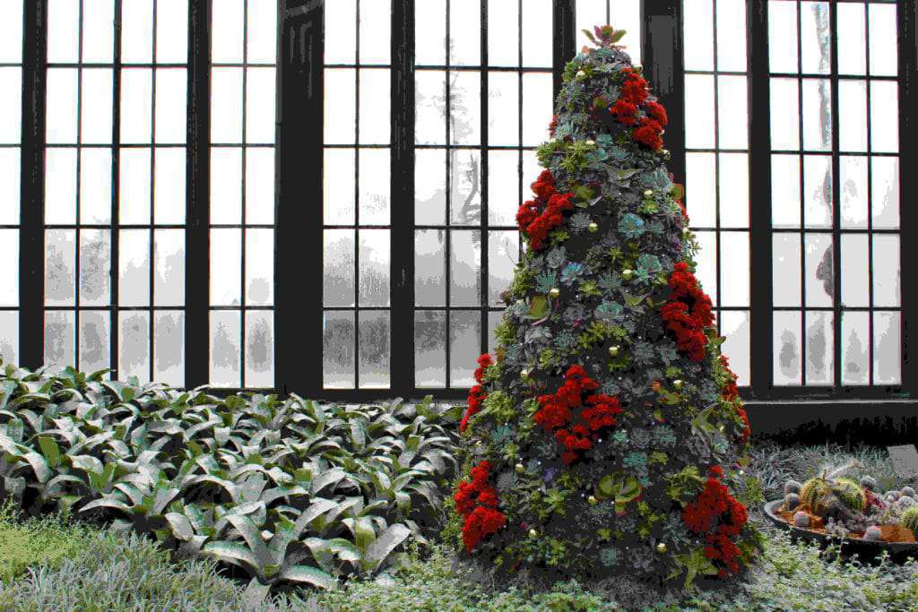 10 FUN THINGS TO DO IN PHILADELPHIA DURING THE HOLIDAY SEASON | Longwood Gardens | www.phillyaptrentals.com 