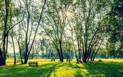 Los mejores parques en el área de Filadelfia