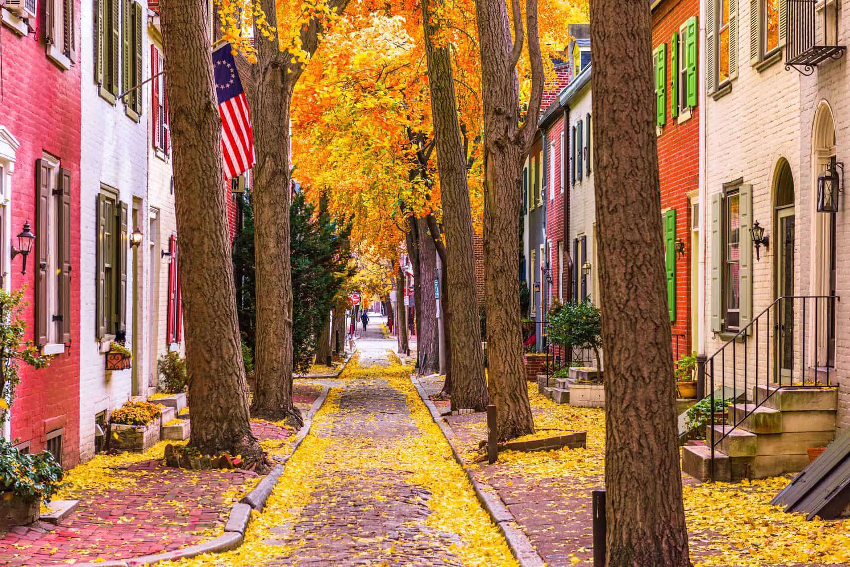 herfstbladeren op de grond in Philadelphia