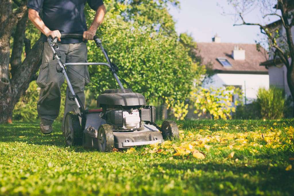 13 CAUTIONS BEFORE RENTING A HOME | lawn maintenance | phillyaptrentals.com 