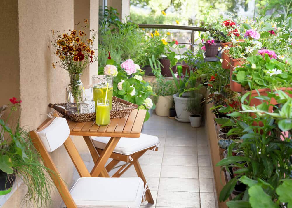 Adorn Balcony With Plants and Flowers | www.phillyaptrentals.com 