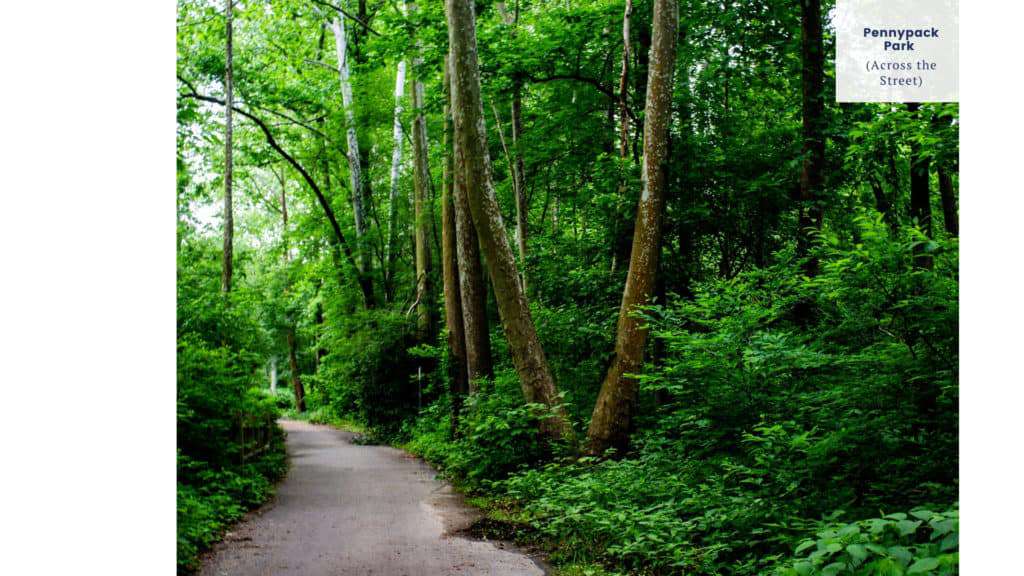 bomen in Pennypack Park - vlakbij park place one