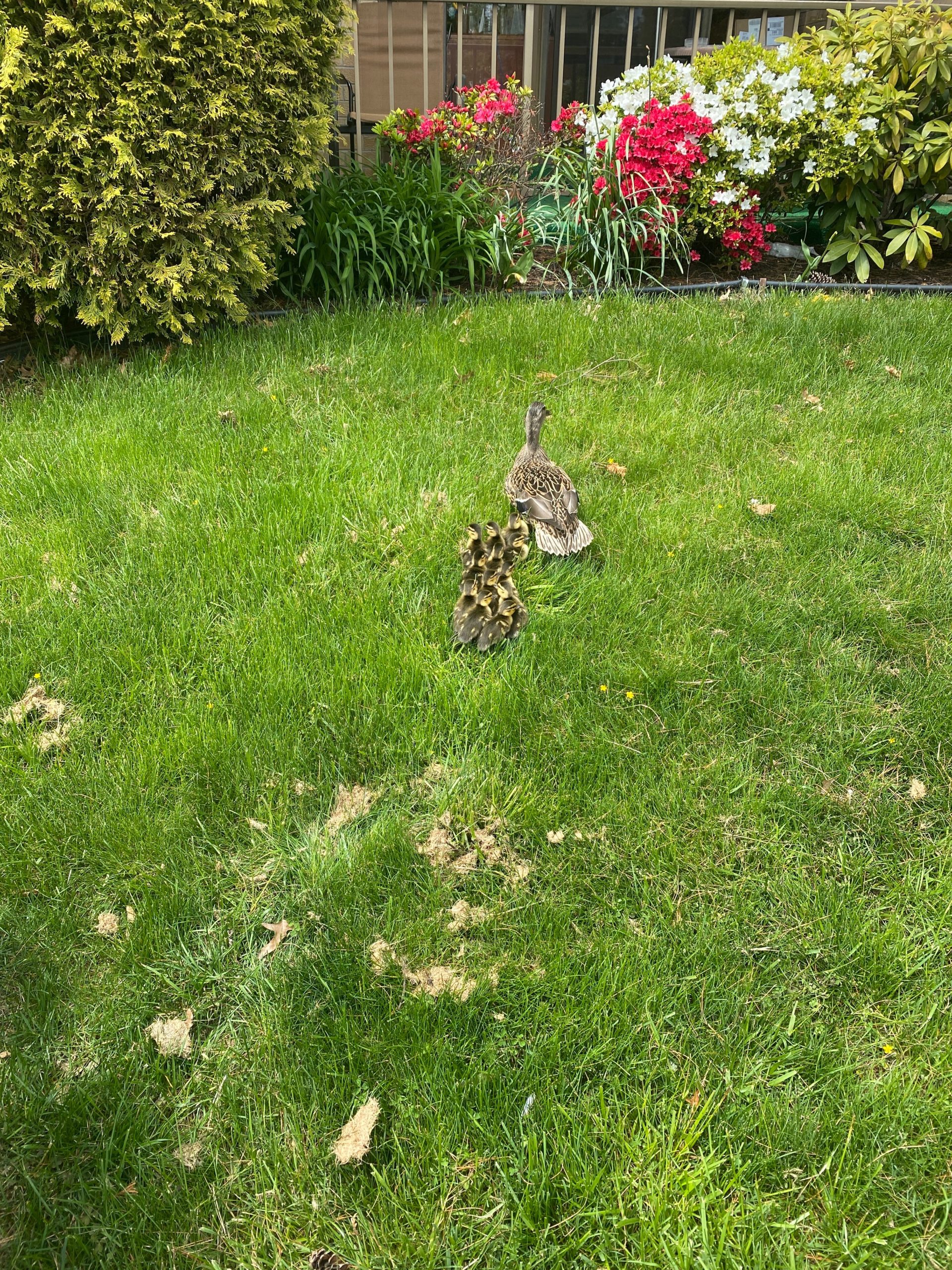 Northeast Philadelphia Apartments For Rent Ambassador I Apartments