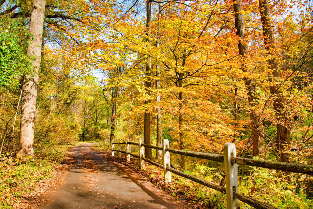 Pennypack Park jour d'automne