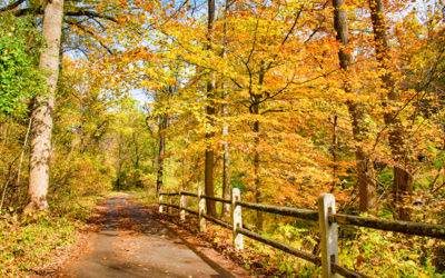 Benefits of Living near Pennypack Park