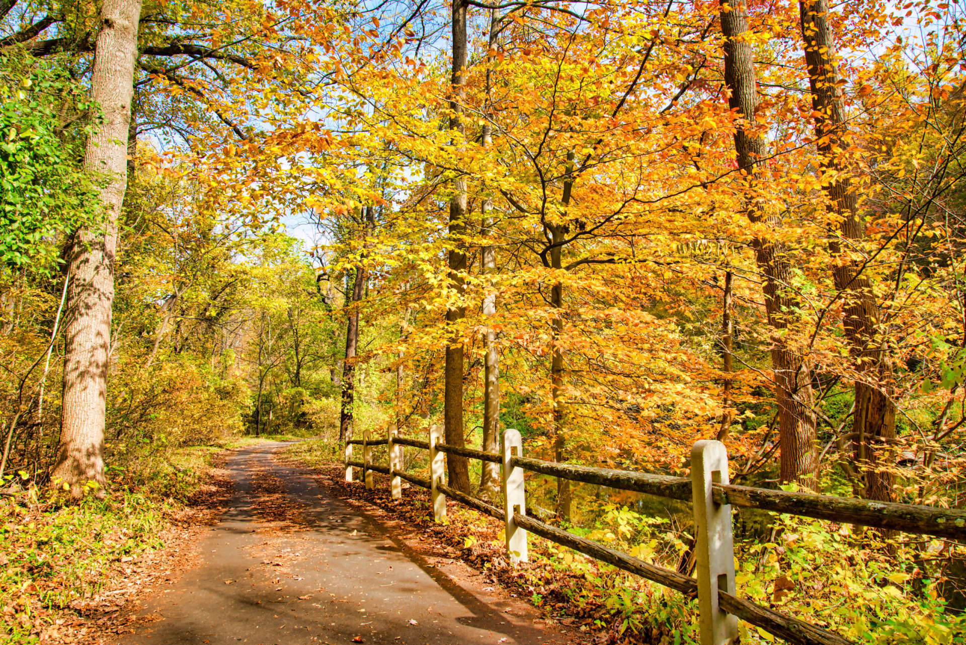 Pennypack Park herfstdag