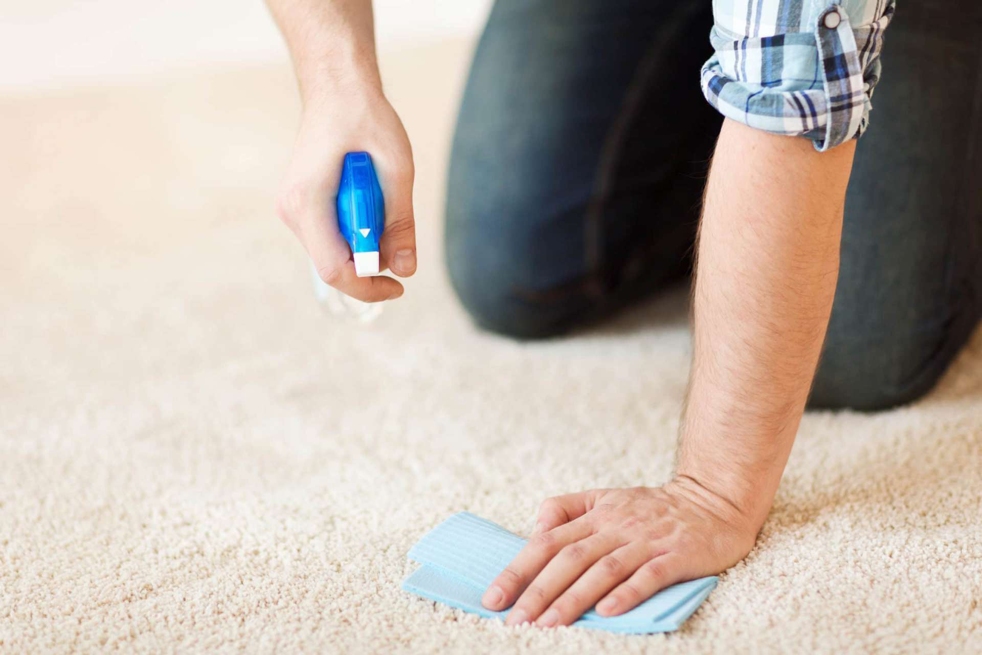 Person Cleaning Apartment Carpet | www.phillyaptrentals.com