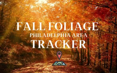 When and Where to View Peak Fall Colors in the Philadelphia Area