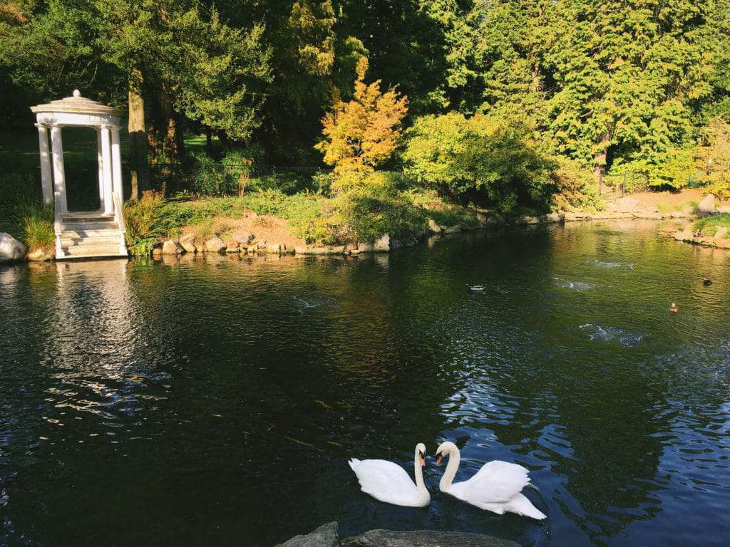 Morris Arboretum