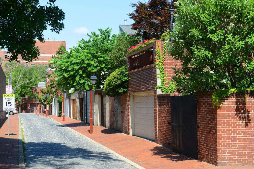 Historische Pinienstraße mit Bäumen in Philadelphia