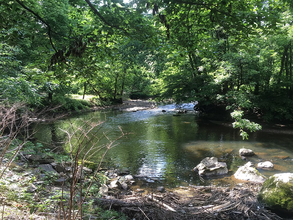 5 Top Running Trails in Northeast Philadelphia | Pennypack Trail | phillyaptrentals.com