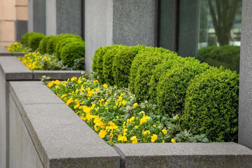 10 Things Make Good Apartment Building Landscaping | Hedges | www.phillyaptrentals.com 