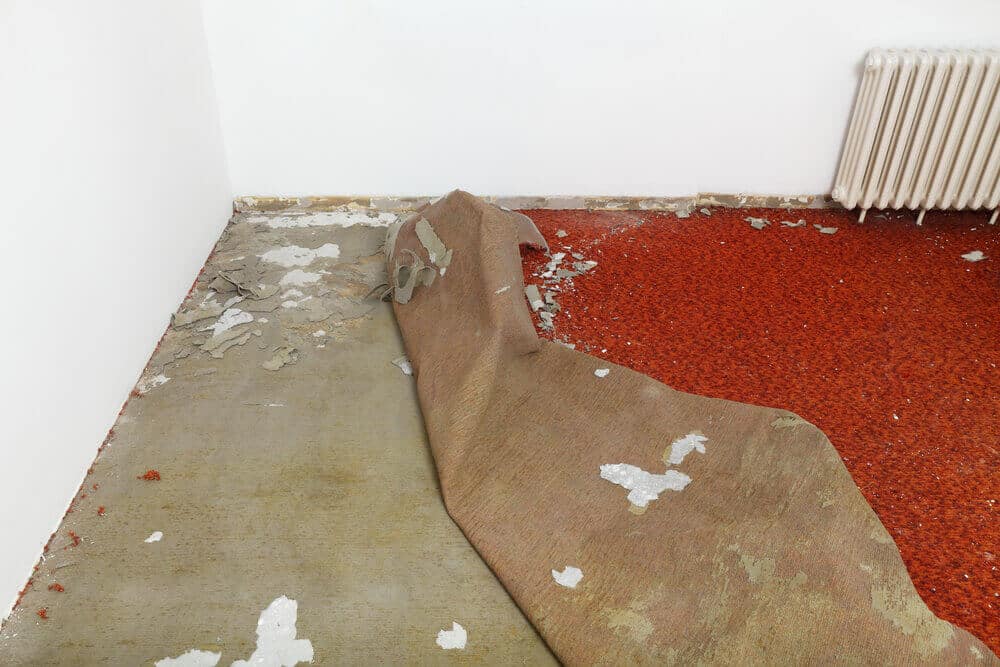 Landlords Responsible For Replacing Carpet | Word, Dated Carpet | www.phillyaptrentals.com 