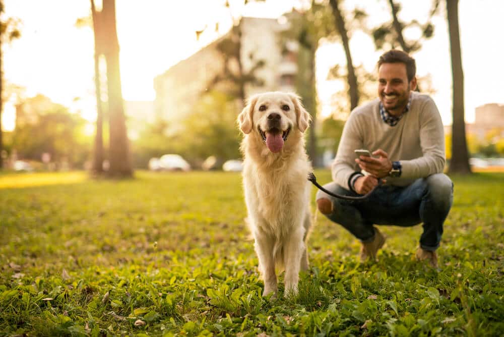 Servizi importanti dell'appartamento | Parco per cani | www.phillyaptrentals.com