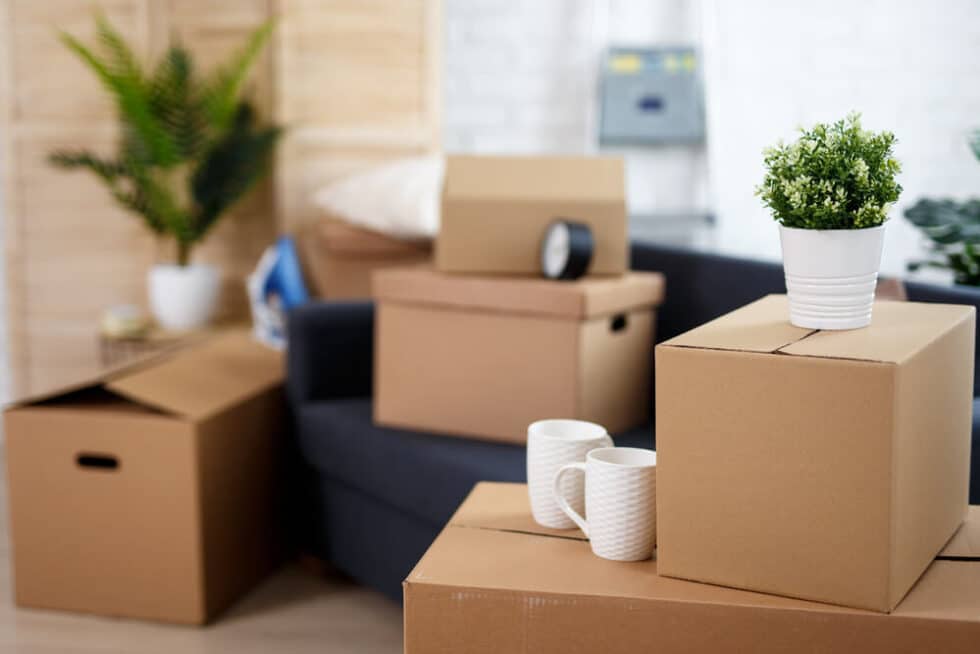 Where to Get Boxes For Moving